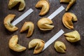 Fortune Cookies with blank paper Royalty Free Stock Photo