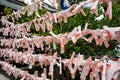 Fortune Paper @ Kushida Shrine Royalty Free Stock Photo