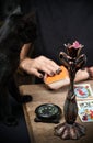 The fortune teller with black cat lays out on a wooden table the tarot cards by the light of a lantern and a candle.