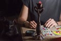 A fortune teller with a black cat read the Tarot cards. Royalty Free Stock Photo