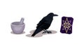 Fortune Telling Objects with Black Cat and Candle Vector Set Royalty Free Stock Photo