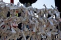 Japanese Temple Fortunes Tied Up for Good Luck