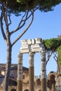 Forum of Caesar Foro di Cesare, part of Forum Romanum, view of the ruins of Temple of Venus Genetrix, Rome, Italy Royalty Free Stock Photo