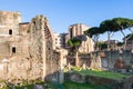 Forum of Nerva and Torre dei Conti in Rome city