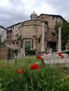 Forum romain italy rome place of interest