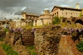 Forum Romanum Royalty Free Stock Photo