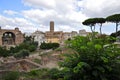 Roman Forum Royalty Free Stock Photo