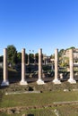Forum Romanum, view of the ruins of several important ancient buildings,Temple of Venus and Roma colonnade, Rome, Italy