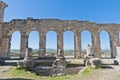 Forum at Volubilis, Morocco