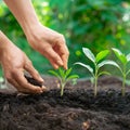 Forward thinking mindset person plants seeds, nurturing growth for future Royalty Free Stock Photo