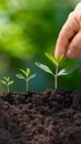 Forward thinking mindset person plants seeds, nurturing growth for future