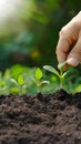 Forward thinking mindset person plants seeds, nurturing growth for future