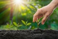 Forward thinking mindset person plants seeds, nurturing growth for future