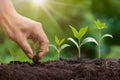 Forward thinking mindset person plants seeds, nurturing growth for future