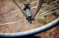 Forward wheel of the bicycle. Royalty Free Stock Photo