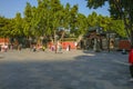 Unacquainted.Chinese Couple Takeing Pre-wedding photo infront of Foshan Ancestral Temple or `Zumiao ` in chinese name Royalty Free Stock Photo