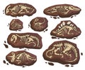 Fossil dinosaur skeletons set vector illustration. Collection paleontology historical finds stones