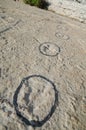 Fossil footprints of cretaceous dinosaur