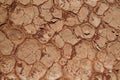 Fossil mud cracks Royalty Free Stock Photo