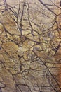 Fossil natural brouwn grande marble texture architecture