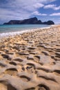 Fossil sand on the beach