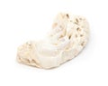 Fossil shell isolated Royalty Free Stock Photo