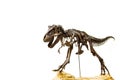 Fossil skeleton of Dinosaur Tyrannosaurus Rex Royalty Free Stock Photo