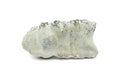Fossil of a spong. chalk rock with Pyrite crystals Royalty Free Stock Photo