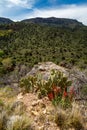 Fossil springs creek Arizona.