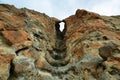 Fossil of a tree in Palisades rocks