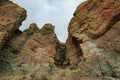 Fossil of a tree in Palisades rocks