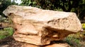 Fossil wood,Petrified wood are fossils of wood that have turned to stone through the process of permineralization