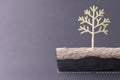 Fossilization process of tree remains forming coal vein, Fossil fuels formation concept