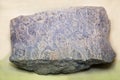 Fossilized calcareous formations of algae stromatolites Latin: inzeria tjomusi of blue color on a white background. Royalty Free Stock Photo