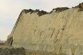 Fossilized Dinosaur Footprint Tracks in Bolivia