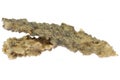 fulgurites Royalty Free Stock Photo