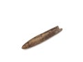 Fossilized remains of belemnite on a white background
