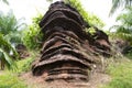 Fossilized stromatolite stone or fossil stromatolith rock in geological heritage of Satun UNESCO Global Geopark for thai people Royalty Free Stock Photo