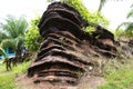 Fossilized stromatolite stone or fossil stromatolith rock in geological heritage of Satun UNESCO Global Geopark for thai people Royalty Free Stock Photo