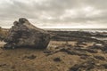 Fossilized tree stump on rocky, cloudy shore.