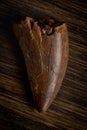 Fossilized Tyrannosaur Tooth, Likely Daspletosaurus