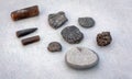 Fossils found on the beaches of the jurrassic coast in south england