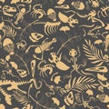Fossils seamless pattern Royalty Free Stock Photo