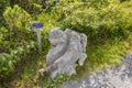 Triassic Park on Steinplatte, Austria Royalty Free Stock Photo