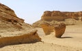 Fossils in wadi al-hitan, whale valley at al fayoum in Egypt