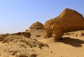 Fossils in wadi al-hitan, whale valley at al fayoum in Egypt