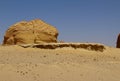 Fossils in wadi al-hitan, whale valley at al fayoum in Egypt