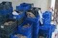 Fossils waiting to be catalogued in a museum storage area Royalty Free Stock Photo