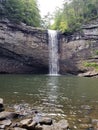 Foster Falls in Savage Gulf