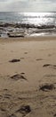 foto controluce di sole e impronte di piedi sulla sabbia